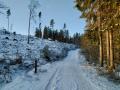 Sjuhäradsleden
