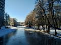 Viskan, Druvefors