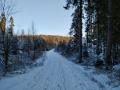 Sjuhäradsleden (2)