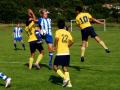 Gothia Cup 2011 (41)
