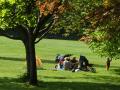Picknick i Slottsskogen