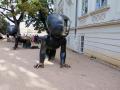 Kampa: Bebisar