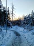 Gässlösa motionsslinga (2)