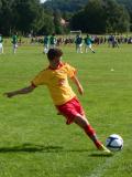 Gothia Cup 2011 (35)