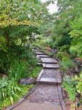 Botanisk Have (2)