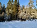 Kransmossen (2)