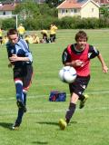 Gothia Cup 2011 (30)