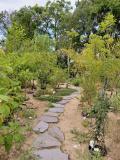 Nové Město: Botaniska trädgården
